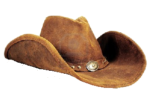 cowboy-hat-sm